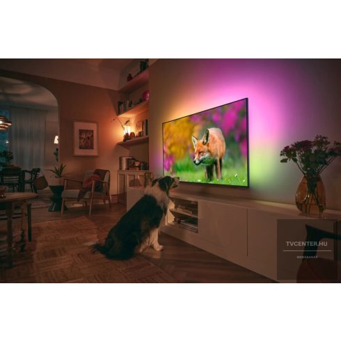 Philips 50PUS8818/12 UHD 4K Smart LED Ambilight Televízió, 120Hz, Google TV, Dolby Vision&Atmos, 50"(126cm)