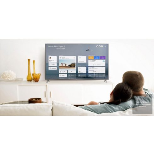 LG NanoCell 65NANO803NA 4K HDR Smart NanoCell TV 65'' (165 cm)